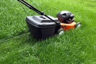 Service tonte de pelouse entre particuliers