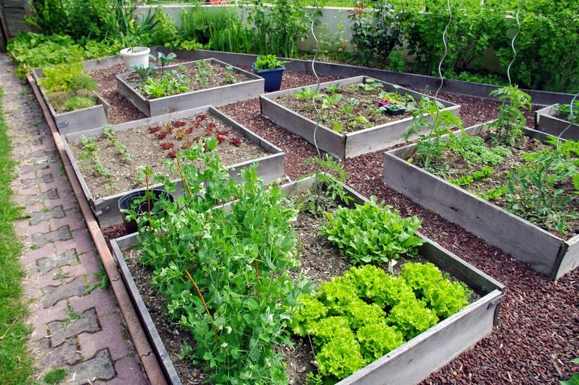 Location jardin potager entre particuliers