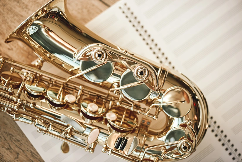 Location saxophone 13 entre particuliers