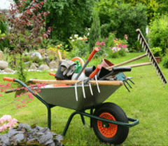 Service jardinage (77 Seine-et-marne) à domicile entre voisins. Jobbing  Jardinier entre particuliers. Kiwiiz
