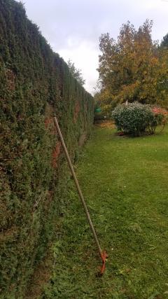 Elagage & Entretien de jardins particuliers près de Toulouse - PRIOM®
