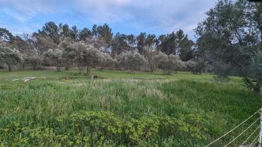 Location jardin potager entre particuliers