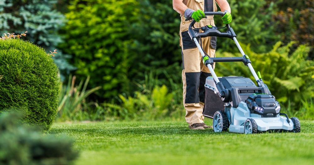 Service amenagement jardin 91 entre particuliers