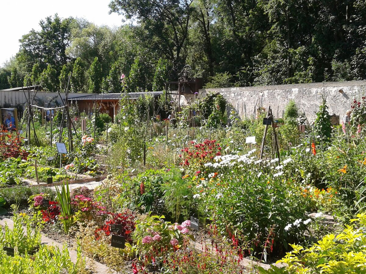 Location jardin potager 38 entre particuliers