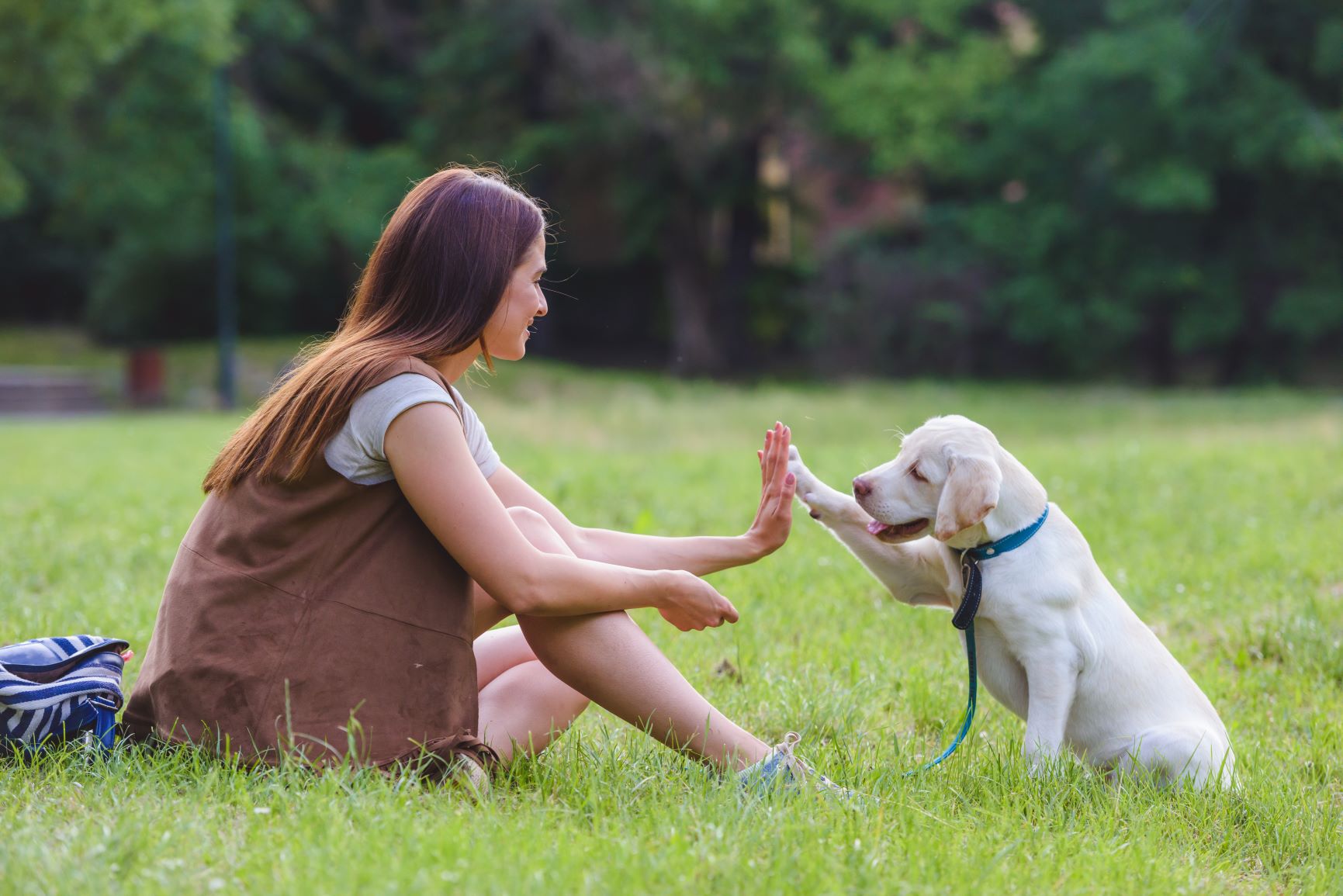 Service promeneur chien 91 entre particuliers