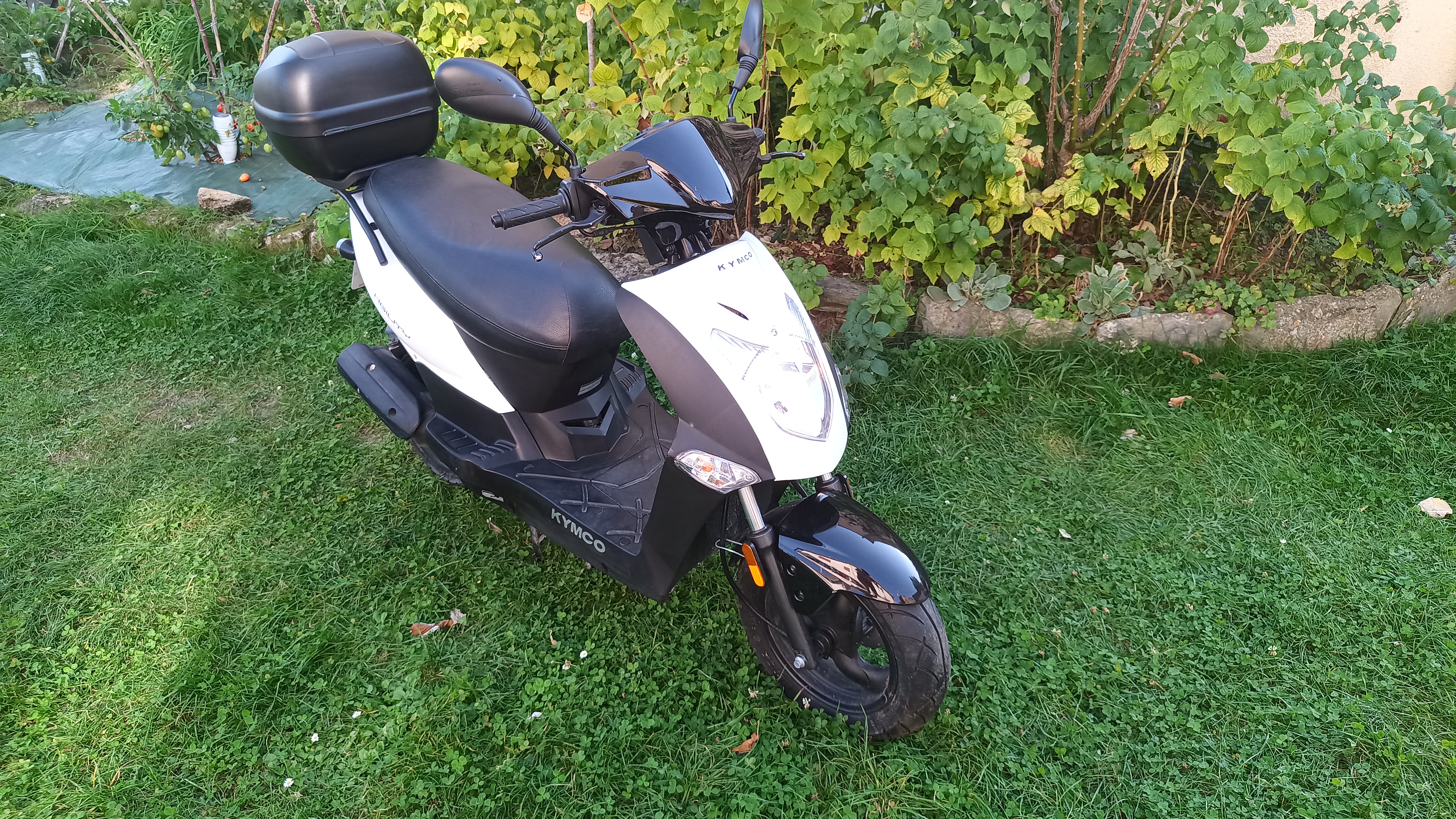 Location scooter 60 entre particuliers